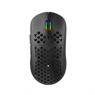 Wireless Gaming Mouse