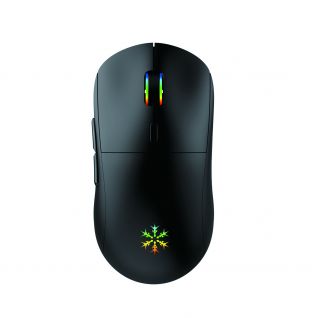 Wireless Gaming Mouse