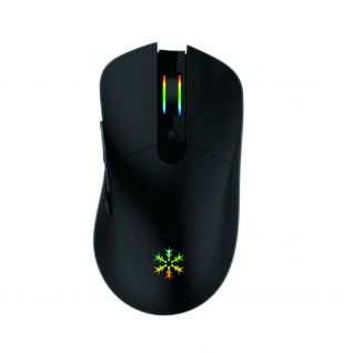 Wireless Gaming Mouse