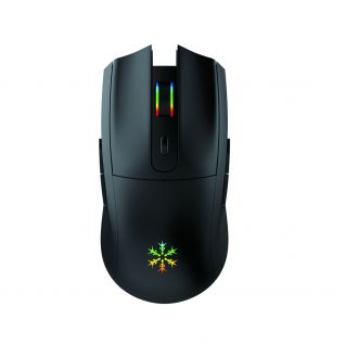 Wireless Gaming Mouse